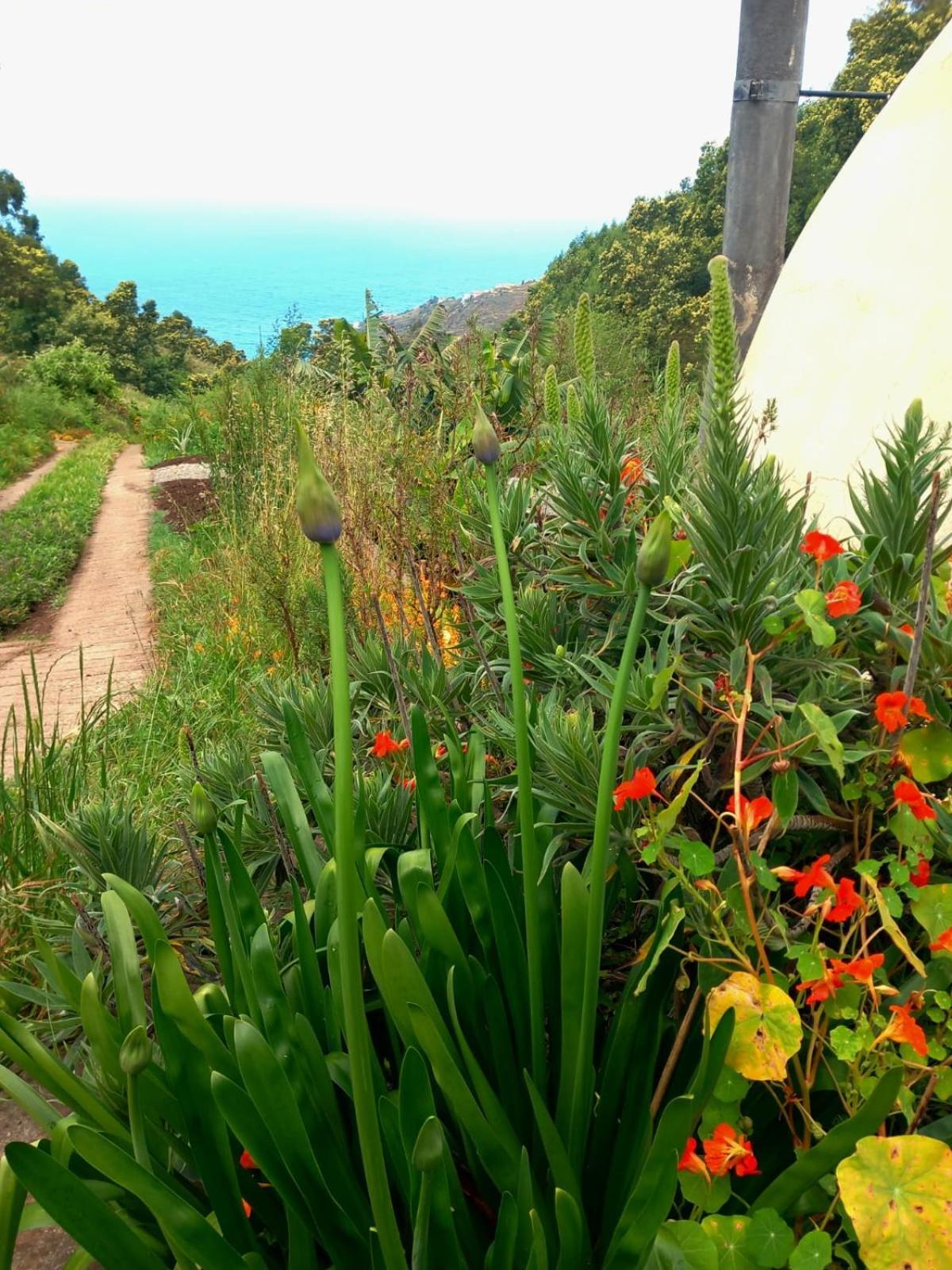 Arambha Ecovillage Farmstay Tabua  Εξωτερικό φωτογραφία