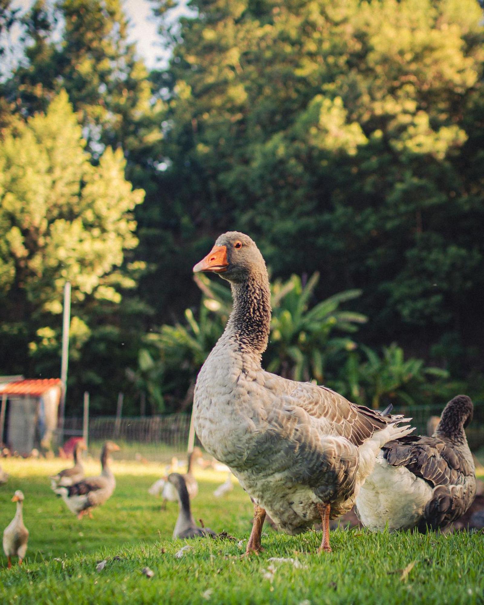 Arambha Ecovillage Farmstay Tabua  Εξωτερικό φωτογραφία